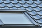 Figtreeskylight-replacements.jpg; ?>